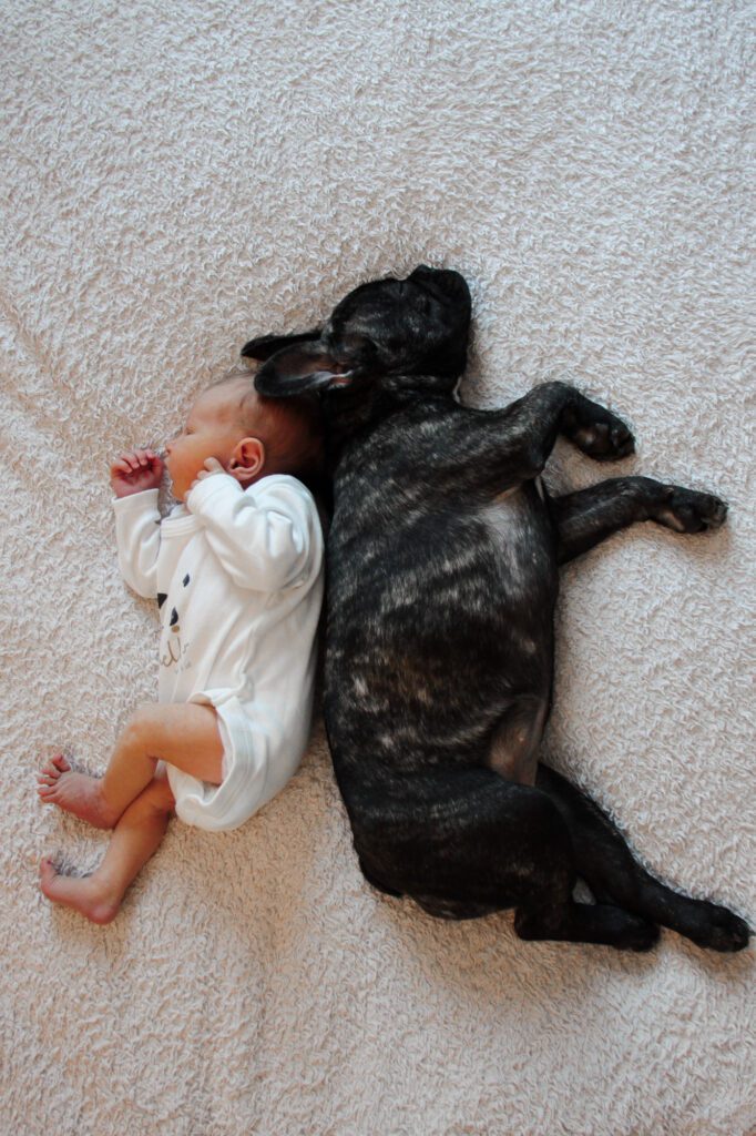 sesja noworodkowa z psem