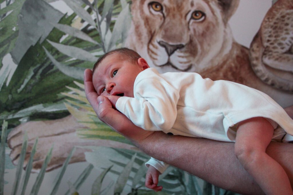 sesje noworodkowe warszawa